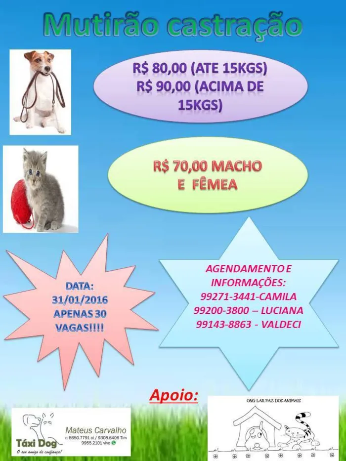 Participe da Feira de Adoção de Animais em Salvador no dia 20 de janeiro de 2024. Encontre seu novo melhor amigo e faça a diferença na vida de um animal!