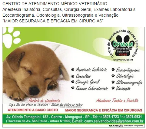 Amor aos Quatro Patas: Grande Evento de Adoção em Mongaguá!