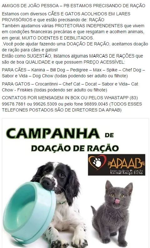 Evento Solidário de Adoção e Doação de Ração em João Pessoa