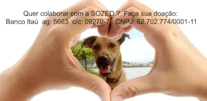 Encontro de Corações: Feira de Adoção Animal no Rio de Janeiro