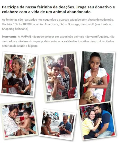 Amor aos Patudos: Grande Evento de Adoção Animal em Santos!
