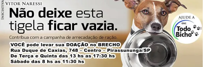 Feira de Adoção em Pirassununga: Encontre seu Novo Melhor Amigo!