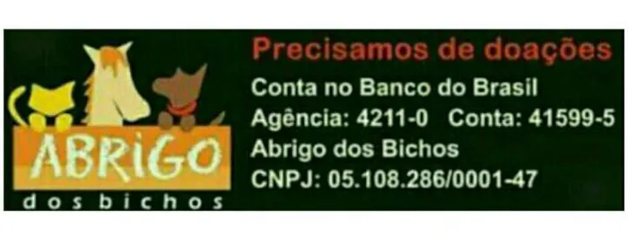 Abrace uma Pata e Ganhe um Amigo: Grande Evento de Adoção em Campo Grande