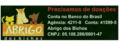 Abrace uma Pata e Ganhe um Amigo: Grande Evento de Adoção em Campo Grande