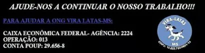 Feira de Adoção de Animais em Campo Grande - Encontre seu Novo Amigo!