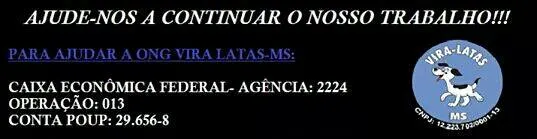 Feira de Adoção de Animais em Campo Grande - Encontre seu Novo Amigo!