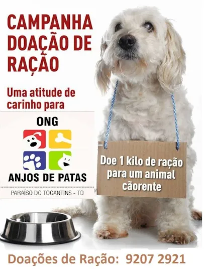 Feira de Adoção e Campanha de Doação: Encontre seu Novo Amigo!