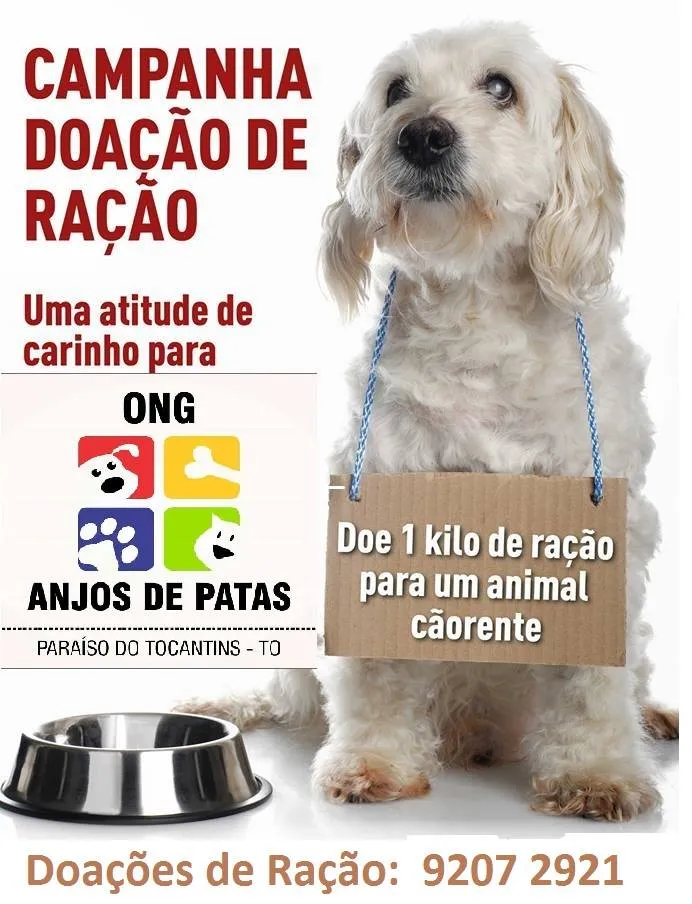 Feira de Adoção e Campanha de Doação: Encontre seu Novo Amigo!