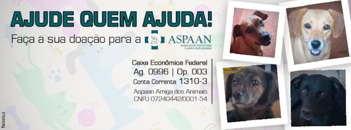 Amor aos Quatro Patas - Feira de Adoção Anápolis