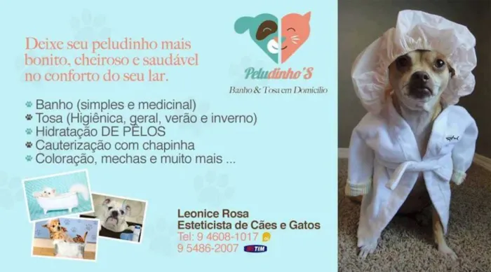 Feira de Adoção de Animais em SP: Encontre seu Novo Amigo!