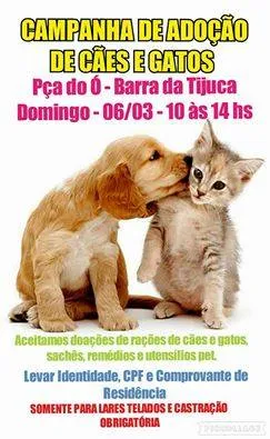 Participe da feira de adoção de animais e encontre um novo amigo. Venha dar uma chance a um pet carente e faça a diferença na vida dele.