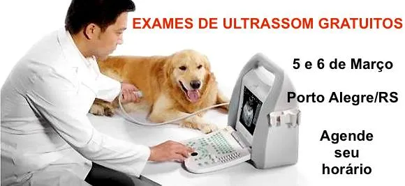 Participe da nossa feira de adoção de animais e encontre seu novo companheiro. Venha conhecer cães e gatos que precisam de um lar amoroso.