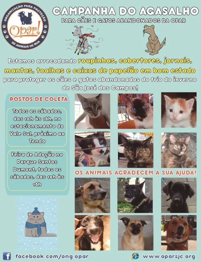 Adote um Amigo: Evento de Adoção de Animais em São José dos Campos