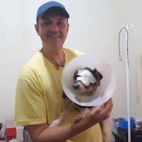 Justiça suspende punição a veterinário