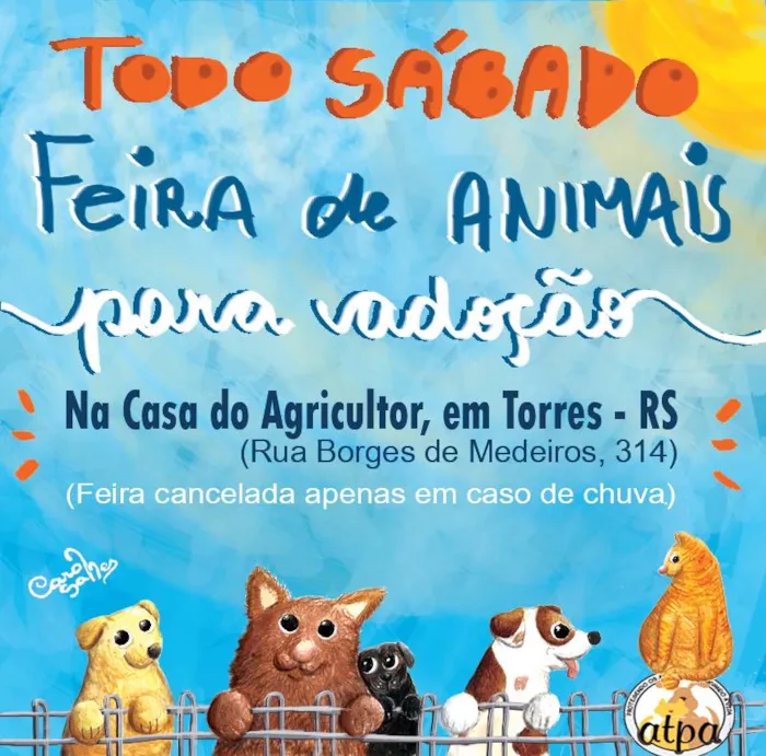 Feira de Adoção de Animais: Encontre Seu Novo Amigo em Torres, RS!