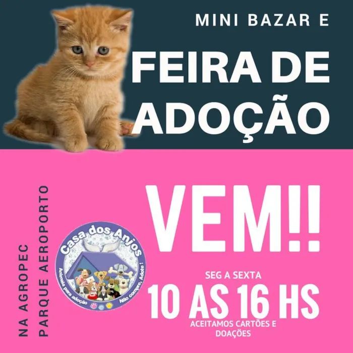 Mini Bazar e Feira de Adoção em Macaé - Um lar para amor sem medida!