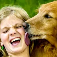 A felicidade do cão em reencontrar o dono