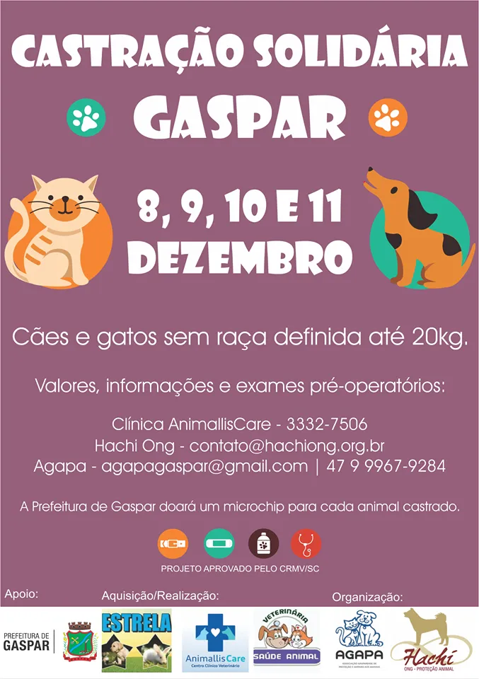 Participe da nossa feira de adoção e encontre um novo amigo! Conheça cães e gatos em busca de um lar. Transforme vidas e adote com amor.