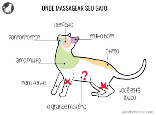 Ronronron: como massagear seu gato.