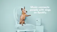 Adote um amigo com Spotify