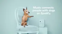 Spotify cria projeto para ajudar animais de abrigo a serem adotados.