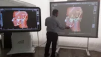 Simuladores 3D em Medicina Veterinária