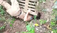 Policiais resgatam filhotes de cachorro