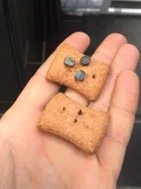 Crueldade em Parque: Biscoitos Perigosos