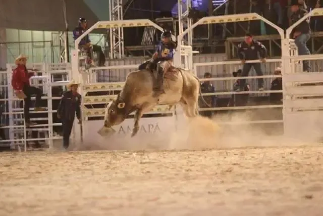 TORTURA Abaixo-assinados pedem o fim de rodeios em Poços de Caldas - MG