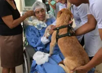 Cachorro emociona paciente com esclerose
