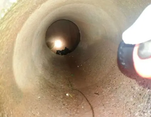 Filhotes de cachorro presos em bueiro são resgatados por bombeiros.