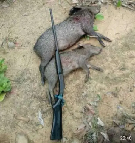 PF faz operação para prender caçadores que exibiam animais como troféus na internet.