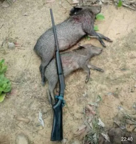 PF faz operação para prender caçadores que exibiam animais como troféus na internet.