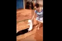 Mulher joga cachorro em bueiro em Goiás e causa revolta.