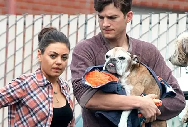 Ashton Kutcher Chora Eutanásia De Seu Cão!