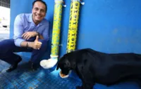 Comedouros e Bebedouros para Animais