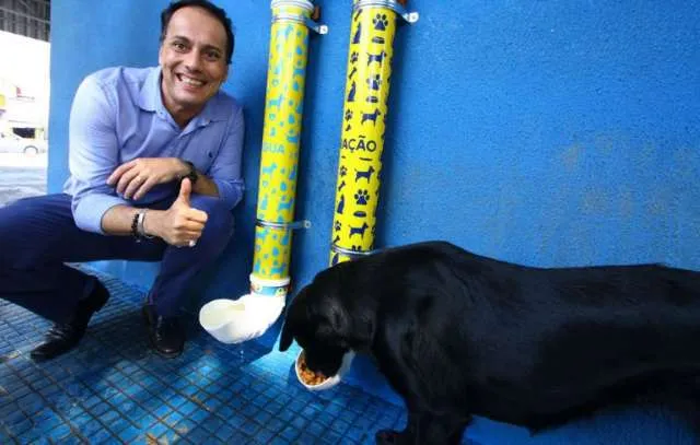 Prefeitura instala comedouro e bebedouro para animais abandonados em Mauá (SP).