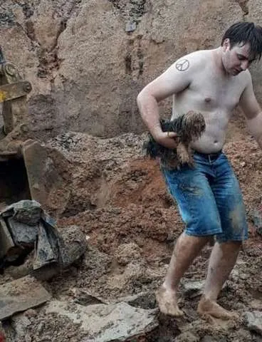 Cadela soterrada por 18 horas é resgatada com vida.