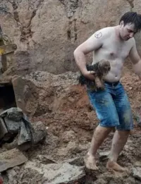 Cadela soterrada por 18 horas é resgatada com vida.