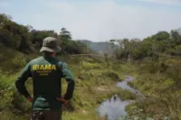 Ibama resgata corujas em fosso residencial