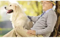 Animais de estimação: felicidade e saúde para idosos