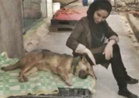 Salvação de Cães Abandonados em Teerã