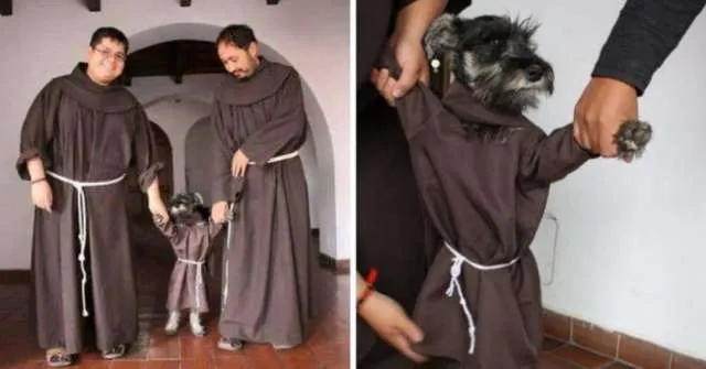 Monges Franciscanos adotam cachorrinho e a internet o batiza de ‘Frei Bigode’.