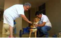 Cadeiras de rodas gratuitas em Goiânia
