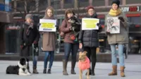 Crueldade com cães na Rússia