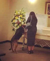 Cadela se despede do dono no velório
