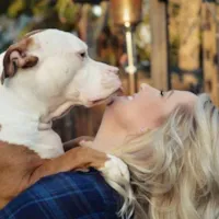 Cachorros: Essa é a razão da sua felicidade