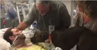 O momento emocionante em que um fiel cachorro se despede pela última vez de seu dono.