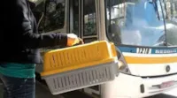 PETS podem passear de ÔNIBUS em MS