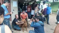 Cães em Brumadinho encontram 4 pessoas vivas.